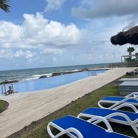 Posidonia تورّيفيِخا